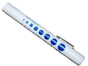 Pen Torch Disposable  Pack 6