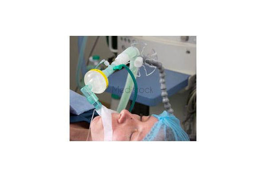 Spirometry Set for GE & Phillips Anaesthetic Machones, 3m, Each